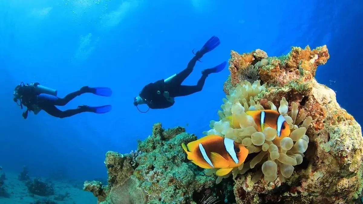 3 islands diving in antalya kemer