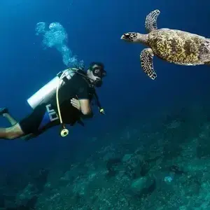 Olympos Turkey Scuba diving