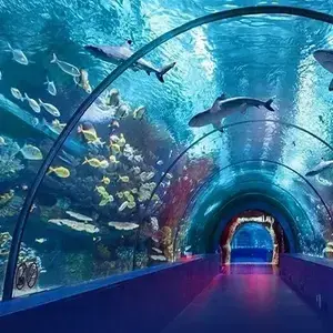 Fishes of Antalya Aquarium